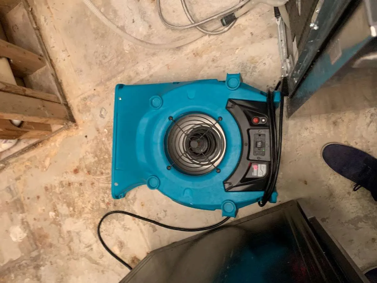 Air mover drying equipment for Mold Remediation & Removal in Bowie